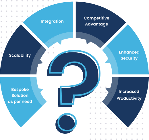 why envitics business software solutions infograph